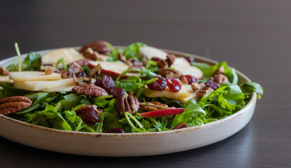 Fall Salad with Arugula, Apples, Cranberries, and Pecans - Close-Up