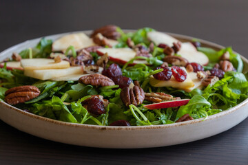 Fall Salad with Arugula, Apples, Cranberries, and Pecans - Close-Up
