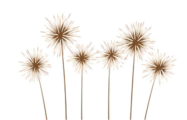 Obraz premium PNG Fireworks plant celebration chandelier.