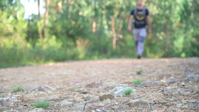 Young man hicking in the forest, with big backpack.