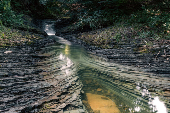 This forest stream reflects green hues as it flows over a rocky bed, creating beautiful natural patterns. The dense canopy of trees offers cool shade, while the stream brings life to the forest.