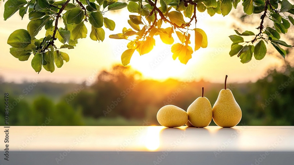 Aufkleber three pears rest atop a table in front of a tree, illuminated by the sun