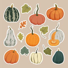 Pumpkins sticker set. Autumn harvest gourds of different shapes and colors. Thanksgiving and Halloween fall pumpkins collection for cards, banners, stickers, and labels. Vector illustration EPS10.