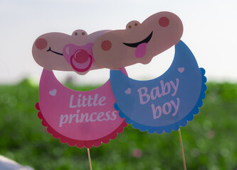 It's a boy and it's a girl baby written text announcement on the signboard . little princess and baby boy written text announcement on the signboard