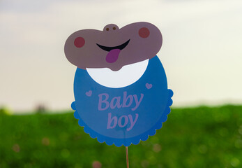 It's a boy and it's a girl baby written text announcement on the signboard . little princess and baby boy written text announcement on the signboard
