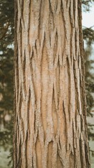 Fototapeta premium Close-Up of Textured Tree Bark in Natural Setting