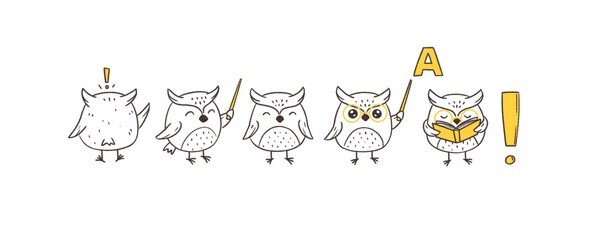 Hand drawn owl teacher  illustration set 