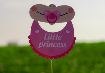 It's a boy and it's a girl baby written text announcement on the signboard . little princess and baby boy written text announcement on the signboard