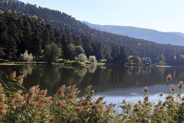 Villa by the lake. Golcuk - Bolu, Turkey