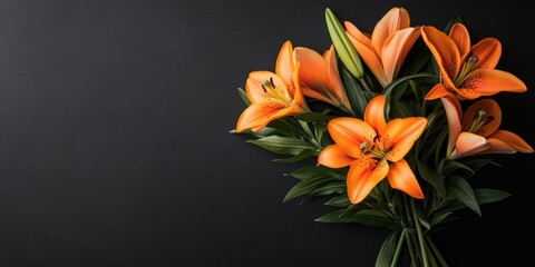 Obraz premium elegant orange lilies on dark background with copy space