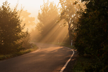 Droga w jesiennej mgle, słoneczny poranek Czechowice Dziedzice © Elżbieta Kaps