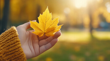 yellow maple leaf in hand against the background of autumn park