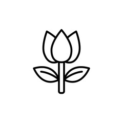 Tulip outline icons, minimalist vector illustration ,simple transparent graphic element .Isolated on white background