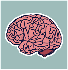 Human brain. Mind symbol, vector illustration