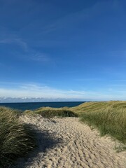 sand dunes and beach