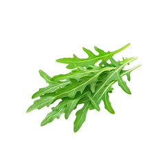 Fototapeta premium Fresh Arugula Leaves Isolated on White Background