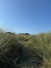 sand dunes and sky