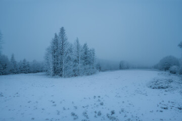 Obraz premium Foggy Winter Scene with Snow