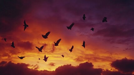 Fototapeta premium Detailed shot of a flock of birds flying in silhouette against a dramatic orange and purple sky at dusk