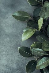 An attractive textured background for advertising a modern beauty clinic