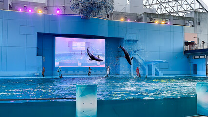 Yokohama Hakkeijima Sea Paradise Aqua Museum