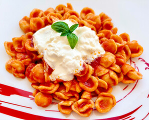 Delicious orecchiette pasta dish with stracciatella cheese and tomato sauce