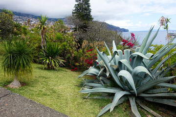 Giardino Funchal, Madeira