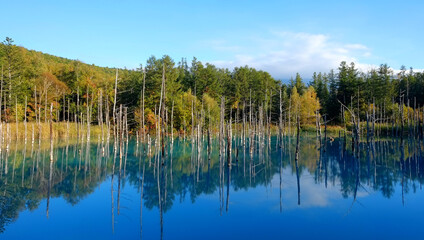 青い池