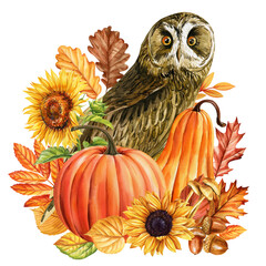 Halloween owl with pumpkin, autumn leaves, sunflower flowers. Watercolor illustration for seasonal decor, poster designs