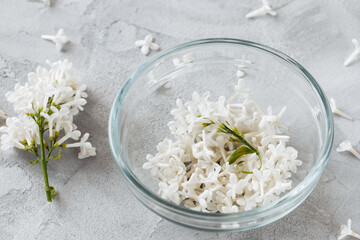 White lilac flowers in a glass bowl