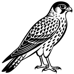 Vector illustration of the silhouette of kestrel