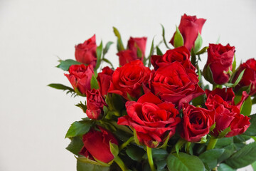 赤い薔薇