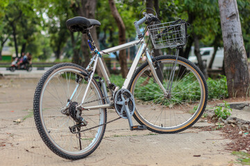 Fototapeta premium bicycle in the park