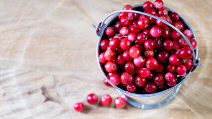 fresh lingonberries in a decorative bucket on a wooden background