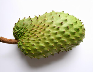 Soursop, isolated on a clean white background