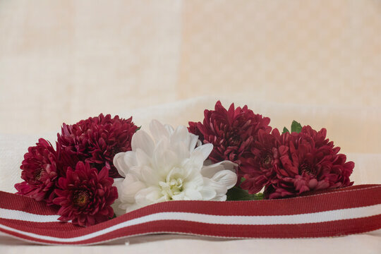 flag and chrysanthemums red and white, symbol of independence day, on linen fabric, symbol of the day of the proclamation of the republic, independence of the republic with space for text