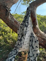 bag hangs on a tree on the beach