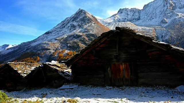 Wooden house in the mountains in Autumn in Switzerland. Yellow larch tree.