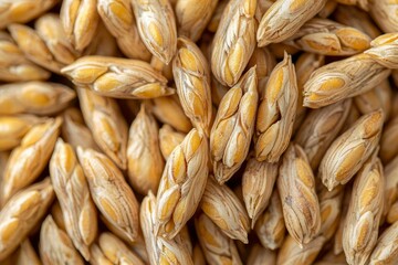 Fototapeta premium Close-up of Golden Wheat Grains in a Pile