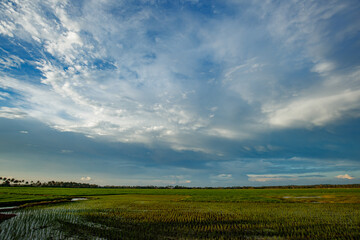 clouds over the field