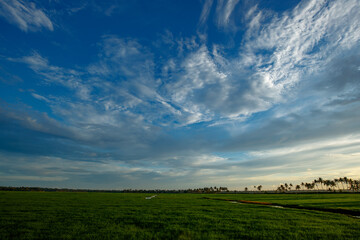field and blue sky