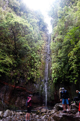 Madeira isola del portogallo
