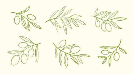 Olive branch sketch logo vector line icons set