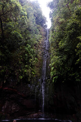 Madeira isola del portogallo