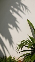 A dark silhouette from palms in summeryspring setting
