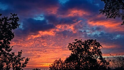 A beautiful sunrise with a bright orange and pink sky over a forest