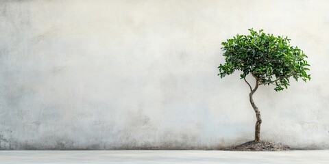 Obraz premium A solitary green tree stands against a textured wall, symbolizing resilience and nature's beauty in a minimalist setting.