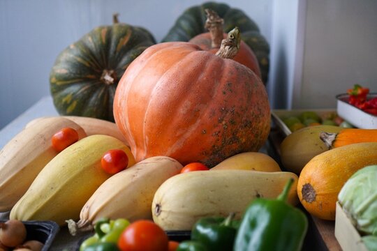 autumn harvest of vegetables with a large orange pumpkin harvested on a garden plot grown independently
