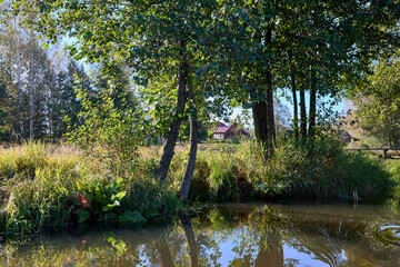 Serene Riverbank Scene with Lush Greenery