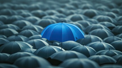 Obraz premium A single blue umbrella in a sea of gray umbrellas, representing leadership, business protection, and resilience.